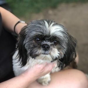 Meet your Posher, Carolyn